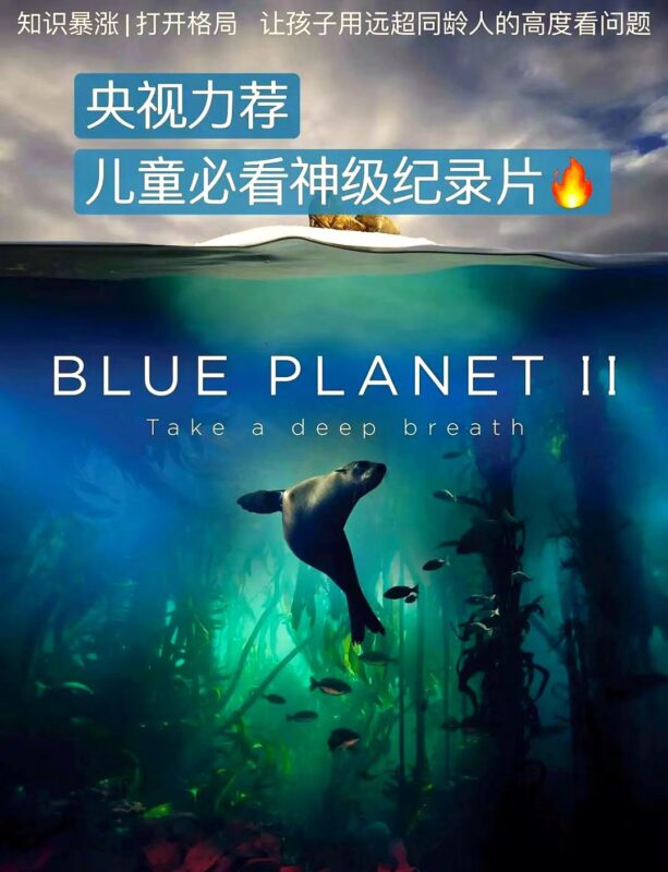 央视力荐儿童纪录片大合集2.6TB-YOHO分享社